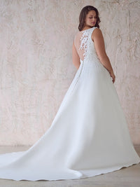 Paxton 22MS954A01 (Lace Illusion Back)